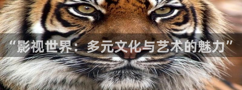 秋霞综合影院：“影视世界：多元文化与艺术的魅力”
