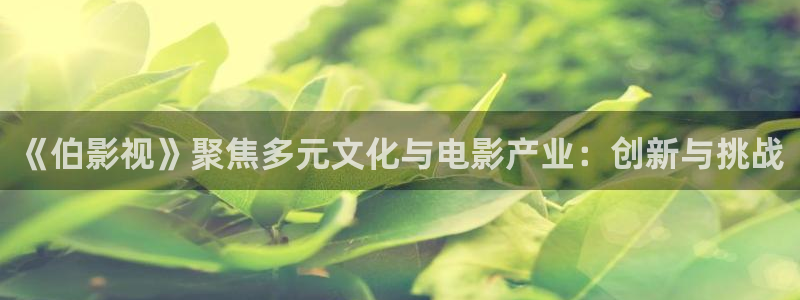 新秋霞影院：《伯影视》聚焦多元文化与电影产业：创新与挑战