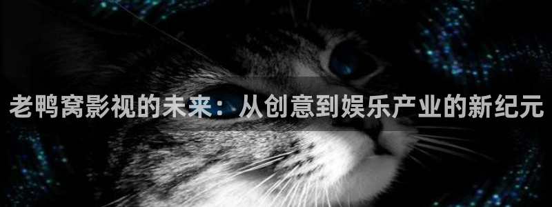 秋霞伦理在线视频
