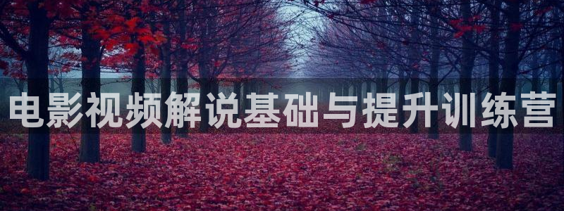 秋霞网电影天堂：电影视频解说基础与提升训练营