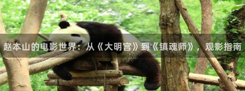 秋霞电影网日韩片：赵本山的电影世界：从《大明宫》到《镇魂师》，观影指南