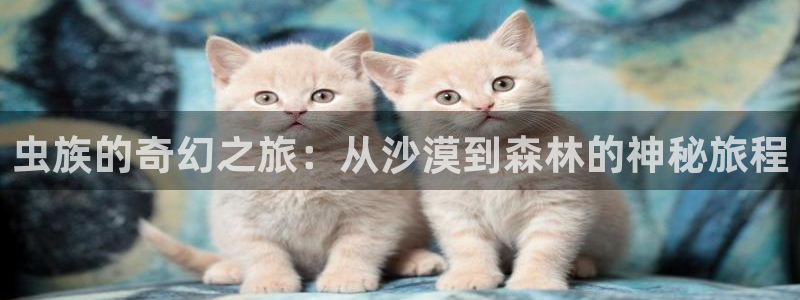 秋霞小说网