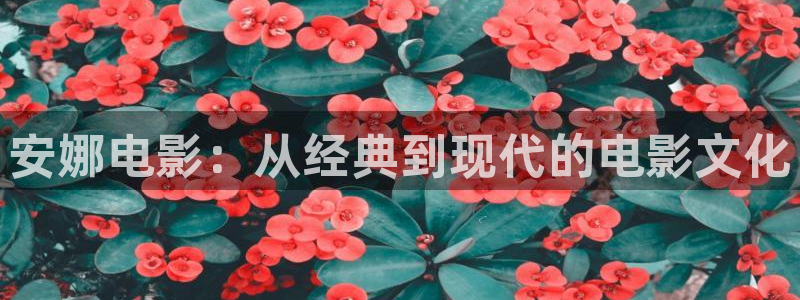秋霞秋霞伦理片：安娜电影：从经典到现代的电影文化