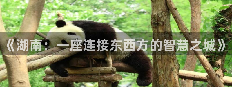 秋霞在线视频