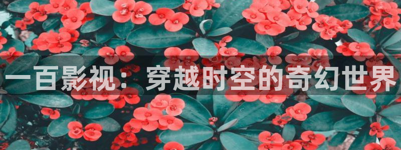秋霞电影伦理影院