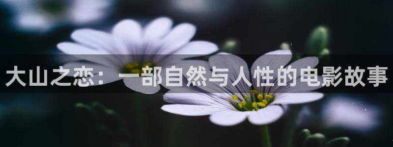 秋霞午夜一级电影：大山之恋：一部自然与人性的电影故事