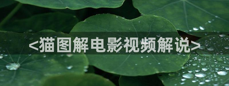 秋霞电视剧网站：<猫图解电影视频解说>