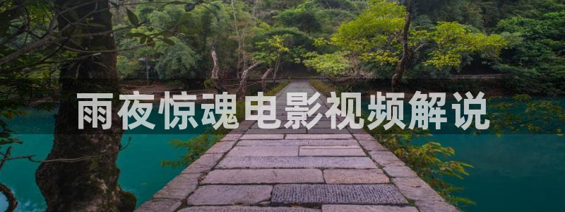 神马电影网秋霞影院：雨夜惊魂电影视频解说