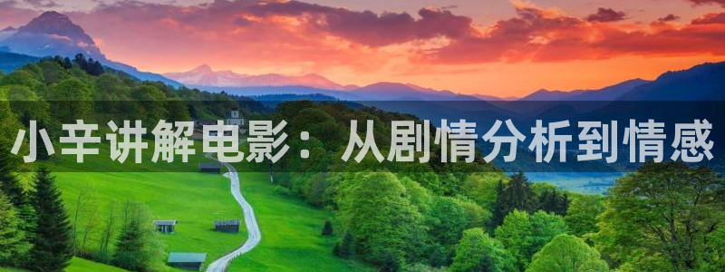 秋霞电影伦理在线：小辛讲解电影：从剧情分析到情感