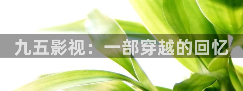 秋霞成人午夜伦在线观看：九五影视：一部穿越的回忆
