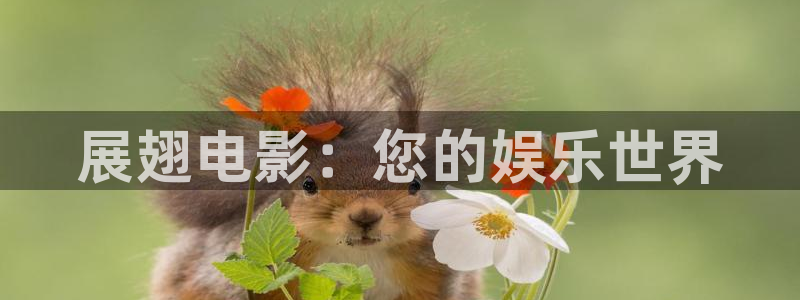 魅惑影音秋霞：展翅电影：您的娱乐世界
