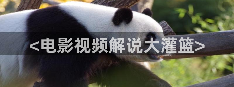 秋霞电影爽片：<电影视频解说大灌篮>