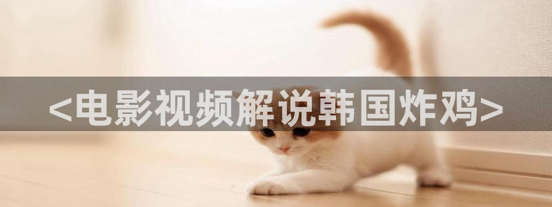 西瓜影院秋霞：<电影视频解说韩国炸鸡>