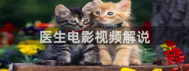 秋霞午夜一级电影：医生电影视频解说