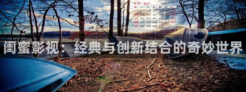 秋霞午夜网站：闺蜜影视：经典与创新结合的奇妙世界