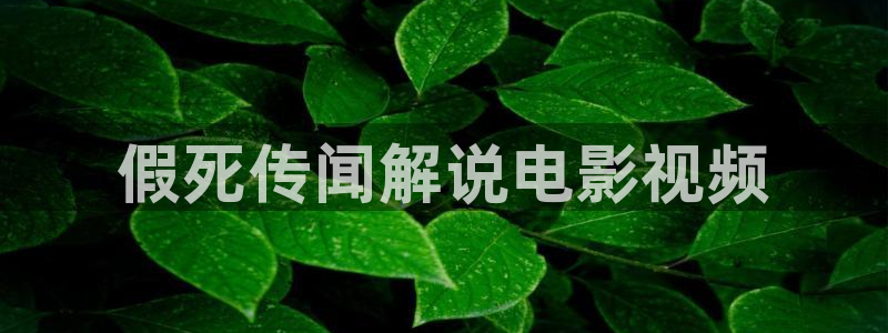 秋霞电影网在线观看伦理片：假死传闻解说电影视频