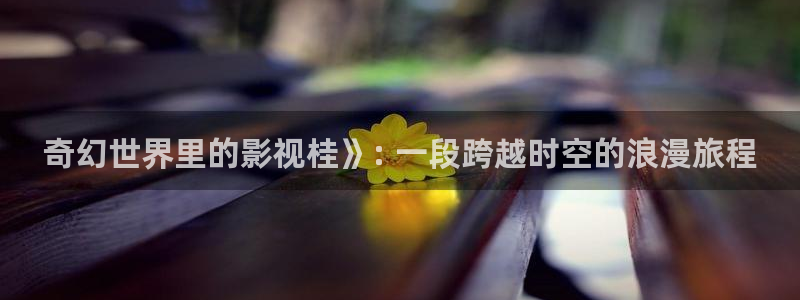 秋霞电影网伦理片在线观看：奇幻世界里的影视桂》: 一段跨越时空的浪漫旅程