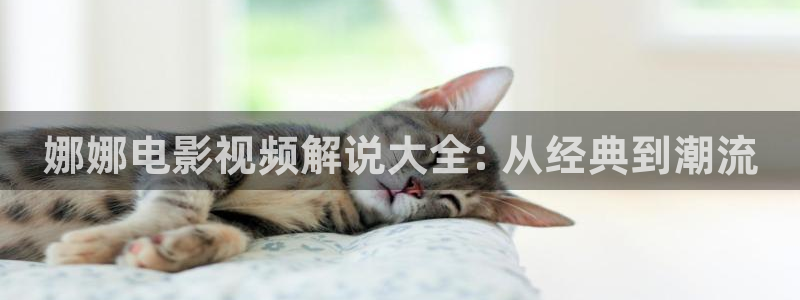 秋霞伦理网站：娜娜电影视频解说大全: 从经典到潮流