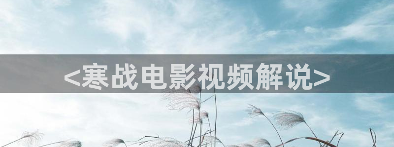 秋霞电影8：<寒战电影视频解说>