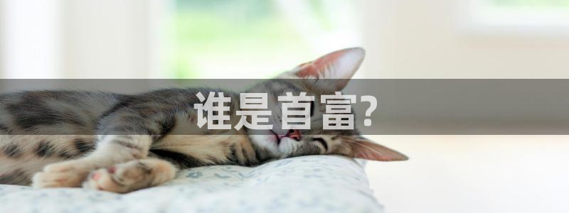 秋霞网在线视频：谁是首富?