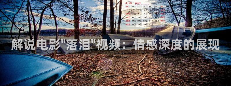 秋霞在线论坛：解说电影\