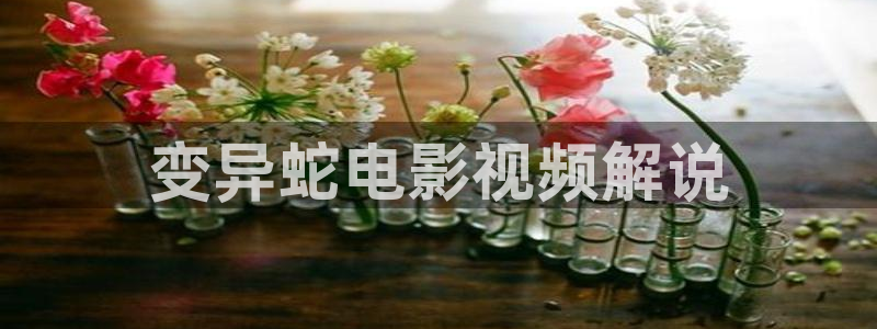 秋霞午夜免费电影网