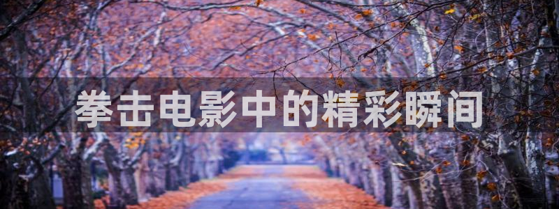 神马秋霞影视网：拳击电影中的精彩瞬间