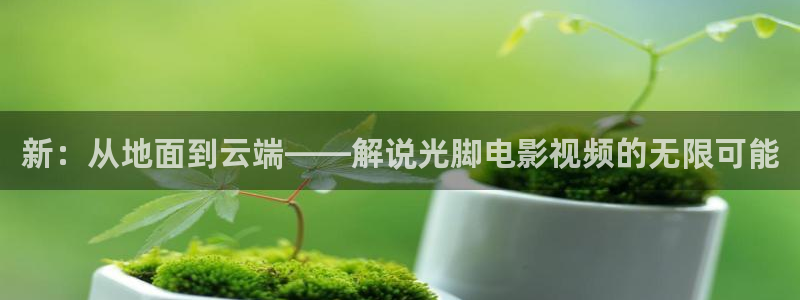 秋霞电影伦理网