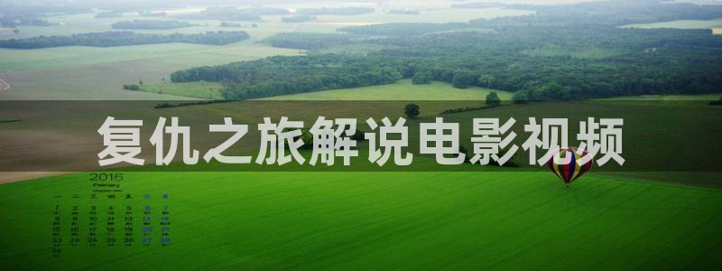 秋霞雪花电影：复仇之旅解说电影视频