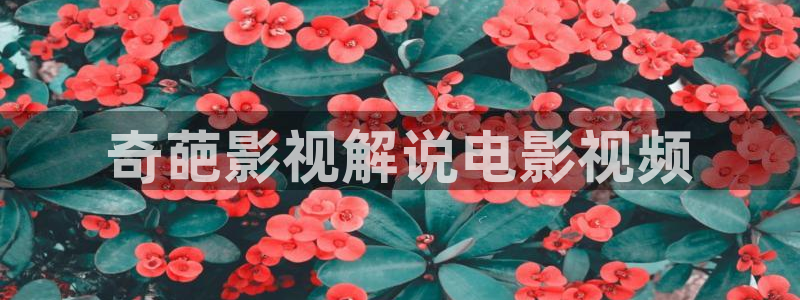 秋霞电影网农民伯伯乡下妹：奇葩影视解说电影视频