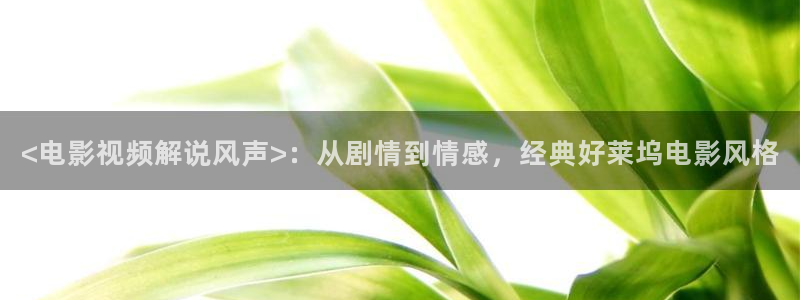 秋霞网67194：<电影视频解说风声>：从剧情到情感，经典好莱坞电影风格