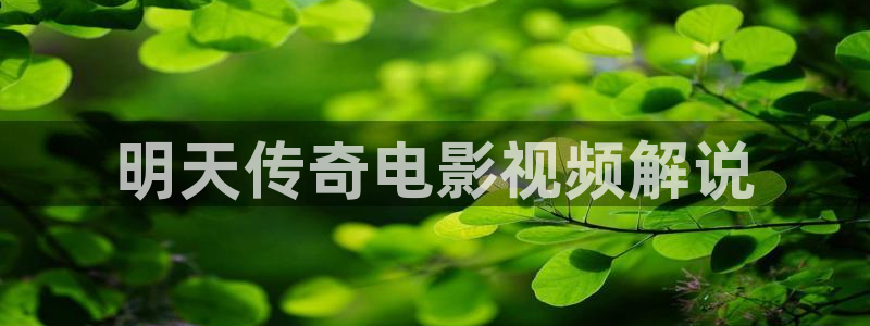 秋霞o