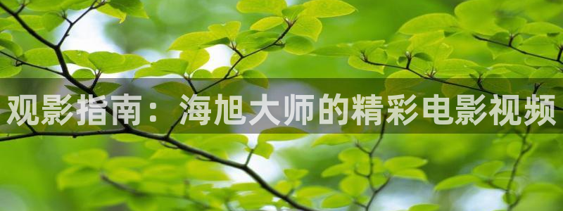 秋霞电影仓：观影指南：海旭大师的精彩电影视频