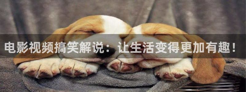 秋霞网影：电影视频搞笑解说：让生活变得更加有趣！