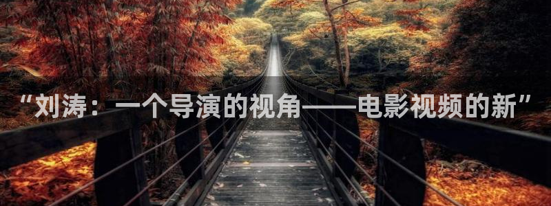 在线秋霞理论电影：“刘涛：一个导演的视角——电影视频的新”