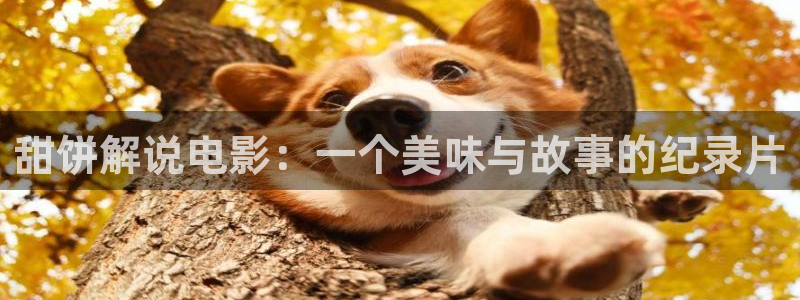 秋霞韩国理伦电影在线观看hd：甜饼解说电影：一个美味与故事的纪录片