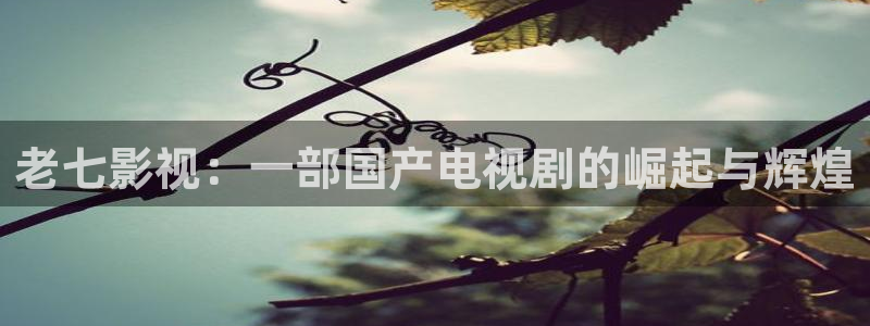 秋霞成：老七影视：一部国产电视剧的崛起与辉煌