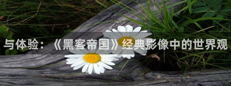 秋霞影视影院：与体验：《黑客帝国》经典影像中的世界观