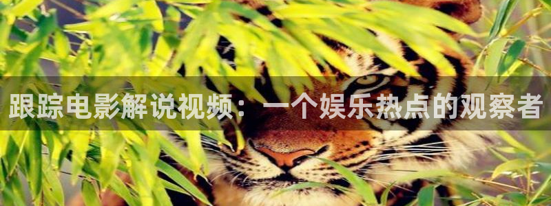 飘零影院秋霞影院：跟踪电影解说视频：一个娱乐热点的观察者