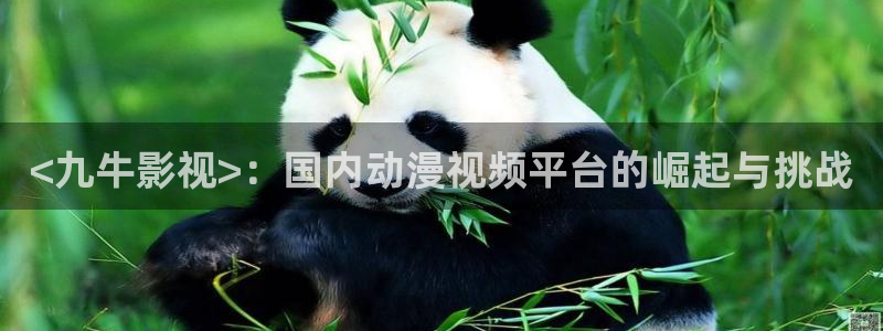 秋霞影院2023：<九牛影视>：国内动漫视频平台的崛起与挑战