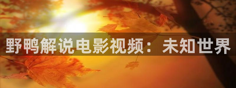 秋霞理伦电影网：野鸭解说电影视频：未知世界
