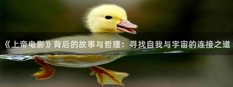 秋霞电影八戒：《上帝电影》背后的故事与哲理：寻找自我与宇宙的连接之道