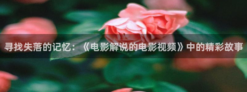 秋霞网站伦理：寻找失落的记忆：《电影解说的电影视频》中的精彩故事