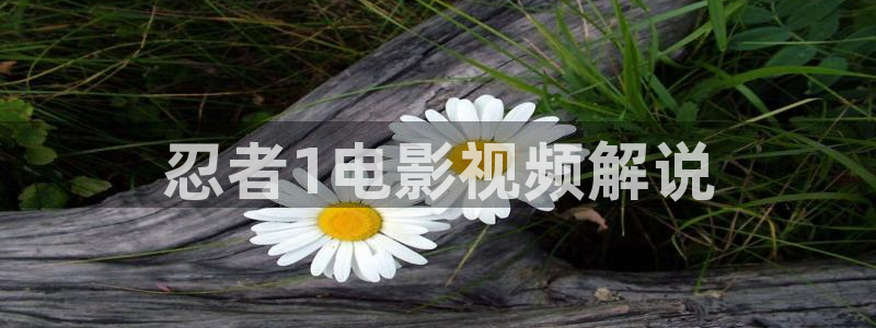 秋霞网日本韩国：忍者1电影视频解说