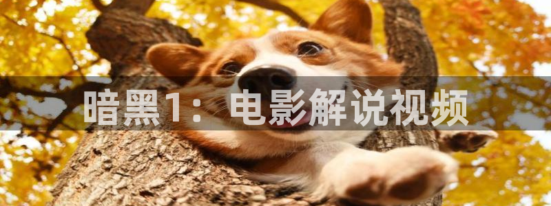 秋霞电影福利视频：暗黑1：电影解说视频