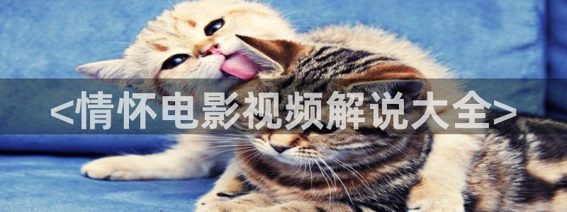 秋霞影视神马：<情怀电影视频解说大全>