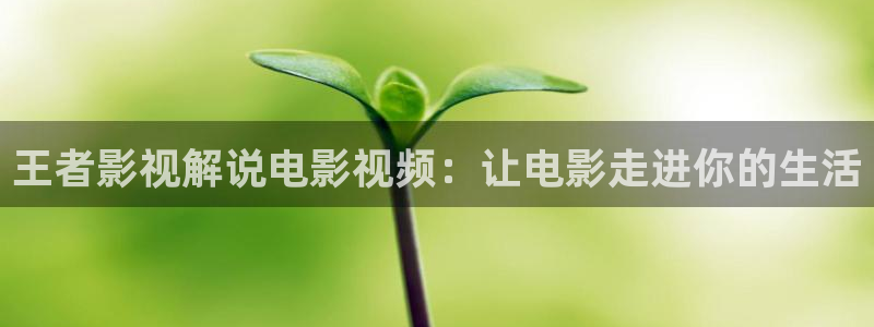 秋霞影院理伦：王者影视解说电影视频：让电影走进你的生活