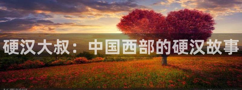 秋霞电影仑理片：硬汉大叔：中国西部的硬汉故事