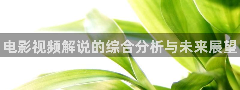 理片秋霞：电影视频解说的综合分析与未来展望