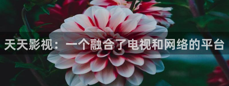 秋霞神马电影网：天天影视：一个融合了电视和网络的平台